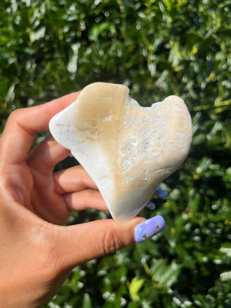 Polished Coral