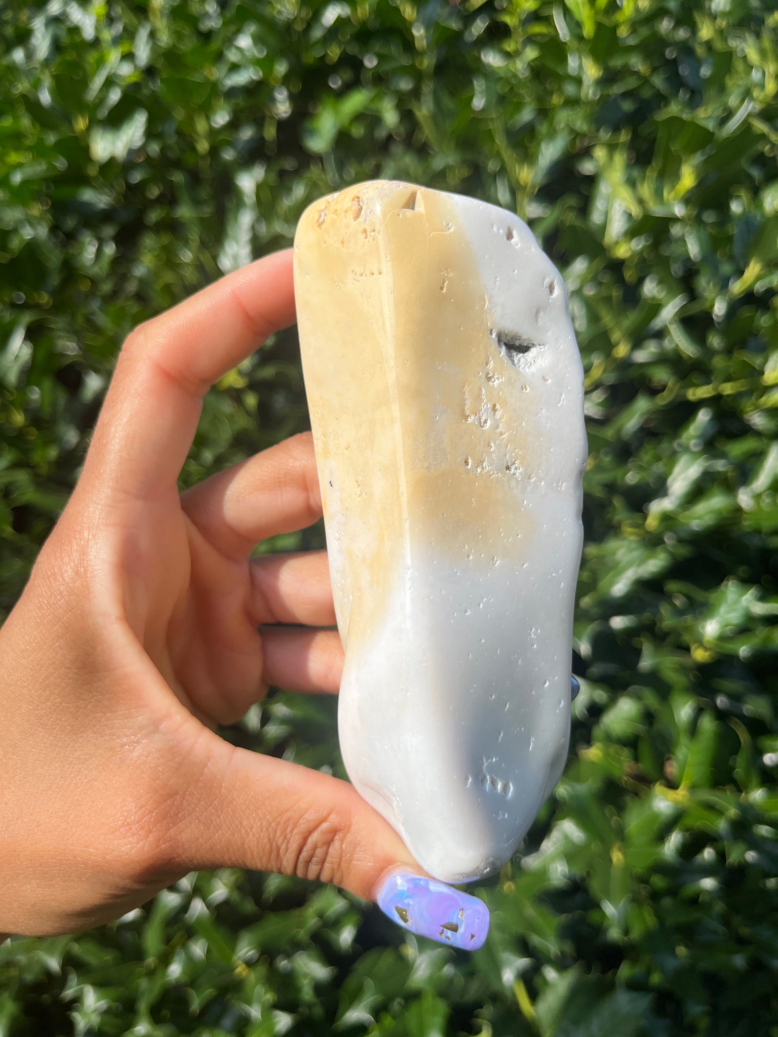 Polished Coral