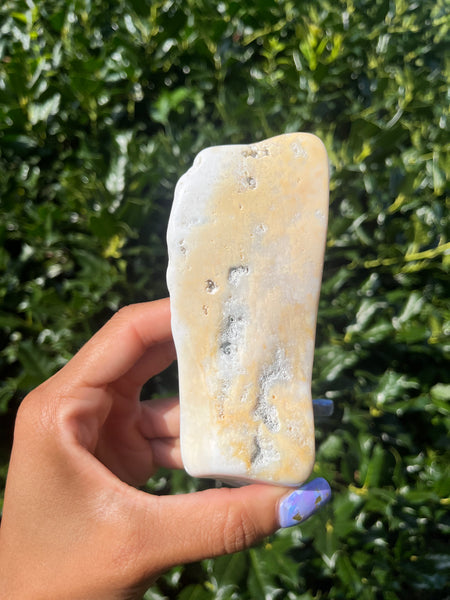 Polished Coral