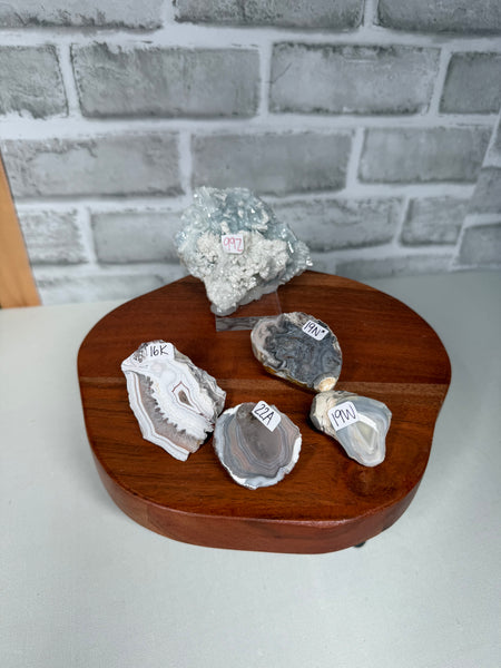 SIREN Live Sale