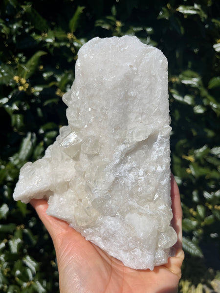 Danburite x Calcite