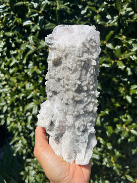 Danburite x Calcite x Pyrite