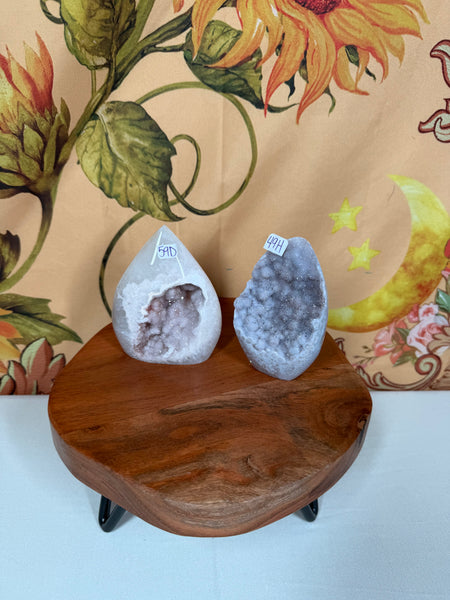 BEAR Live Sale
