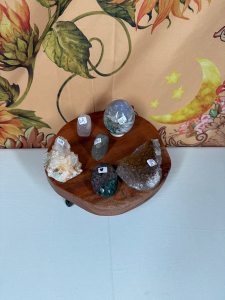 WATERLILY Live Sale