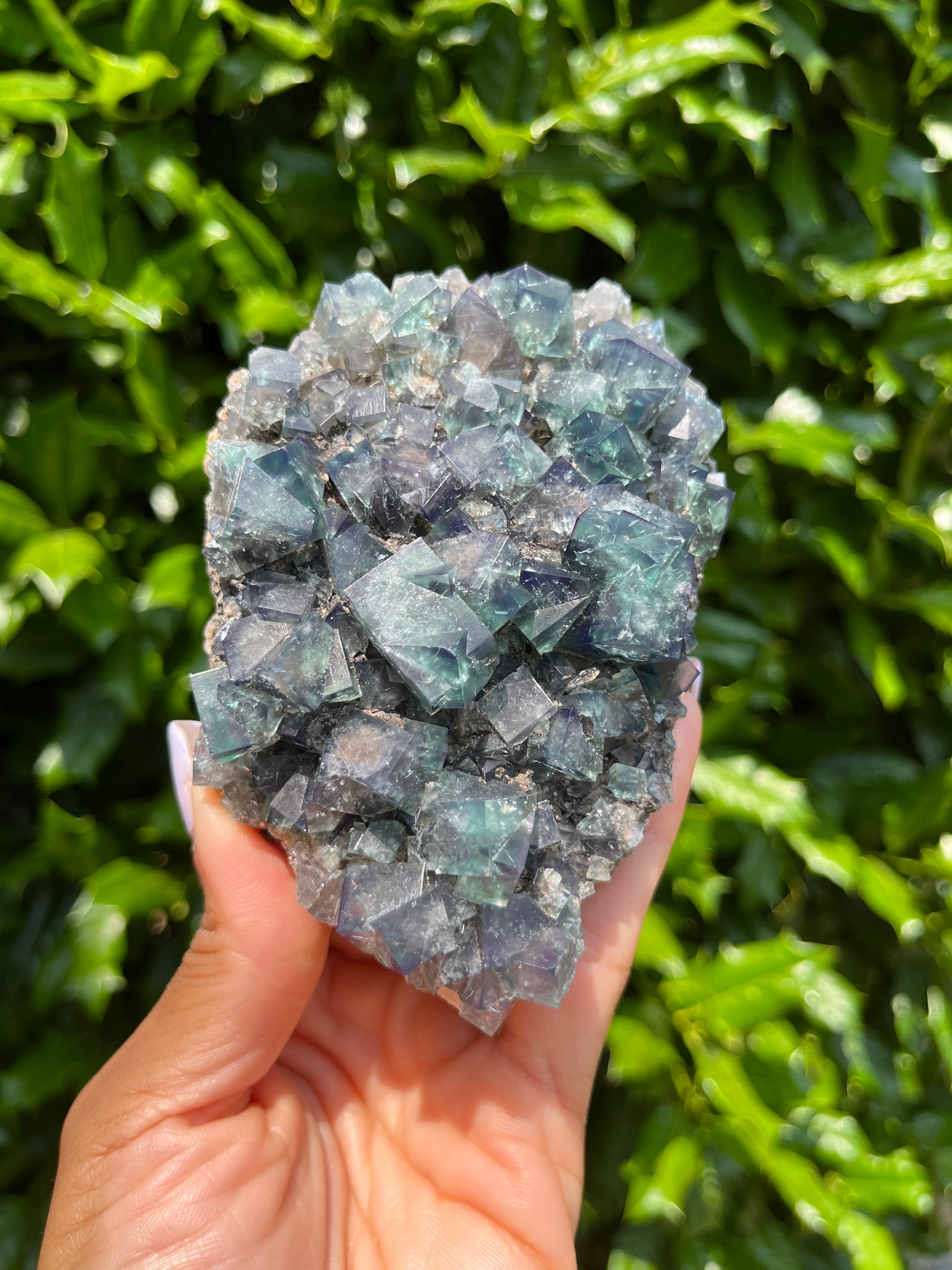 Lady Annabella Mine Fluorite - Fairy Holes Pocket