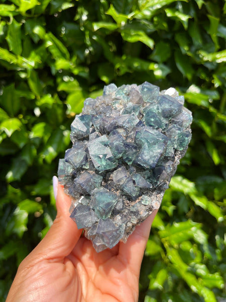 Lady Annabella Mine Fluorite - Fairy Holes Pocket