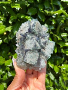 Lady Annabella Mine Fluorite - Poison Ivy Pocket