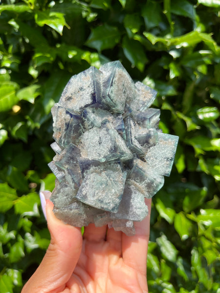 Lady Annabella Mine Fluorite - Poison Ivy Pocket