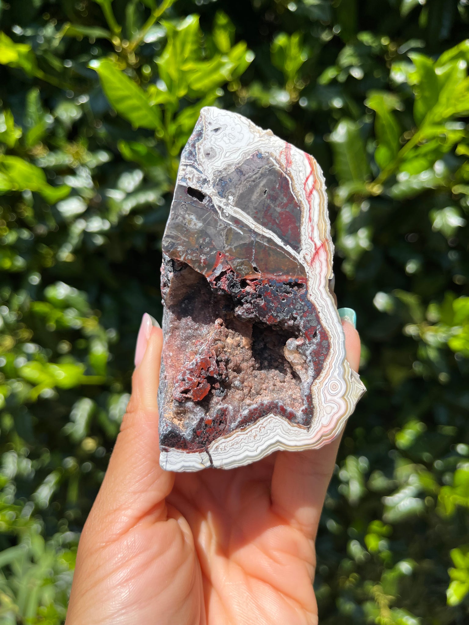 Crazy Lace Agate