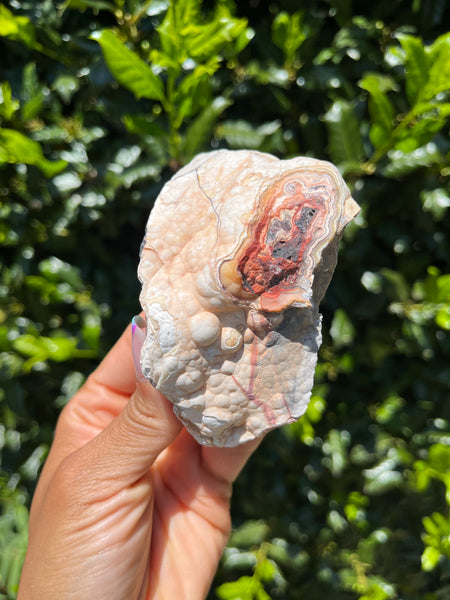 Crazy Lace Agate