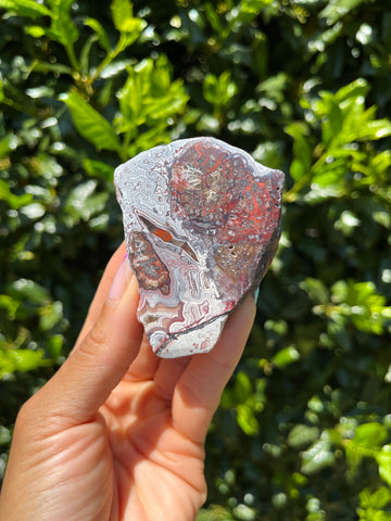 Crazy Lace Agate