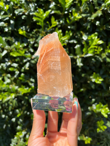 Phantom Calcite