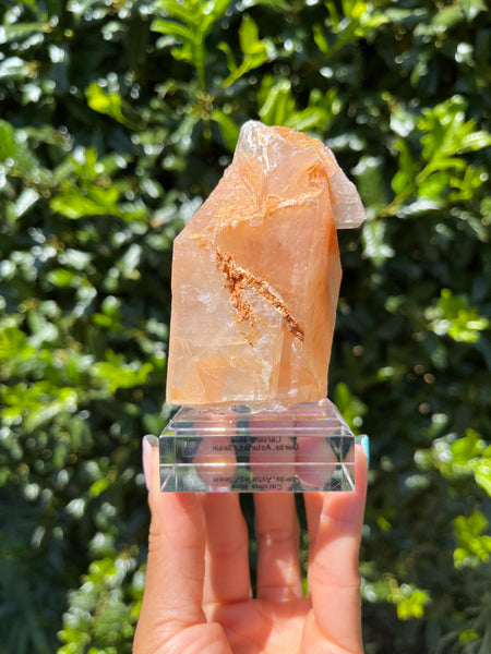 Phantom Calcite