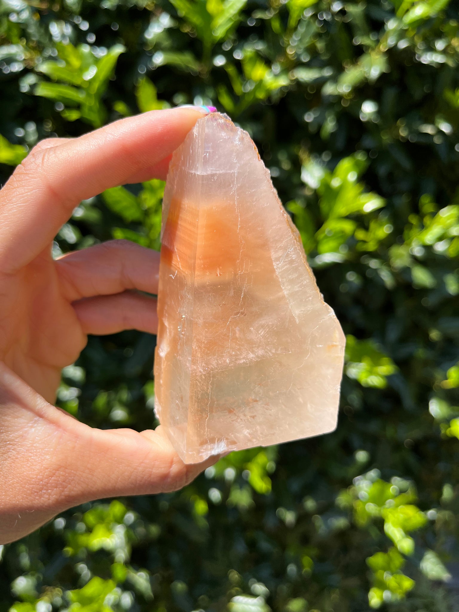 Phantom Calcite