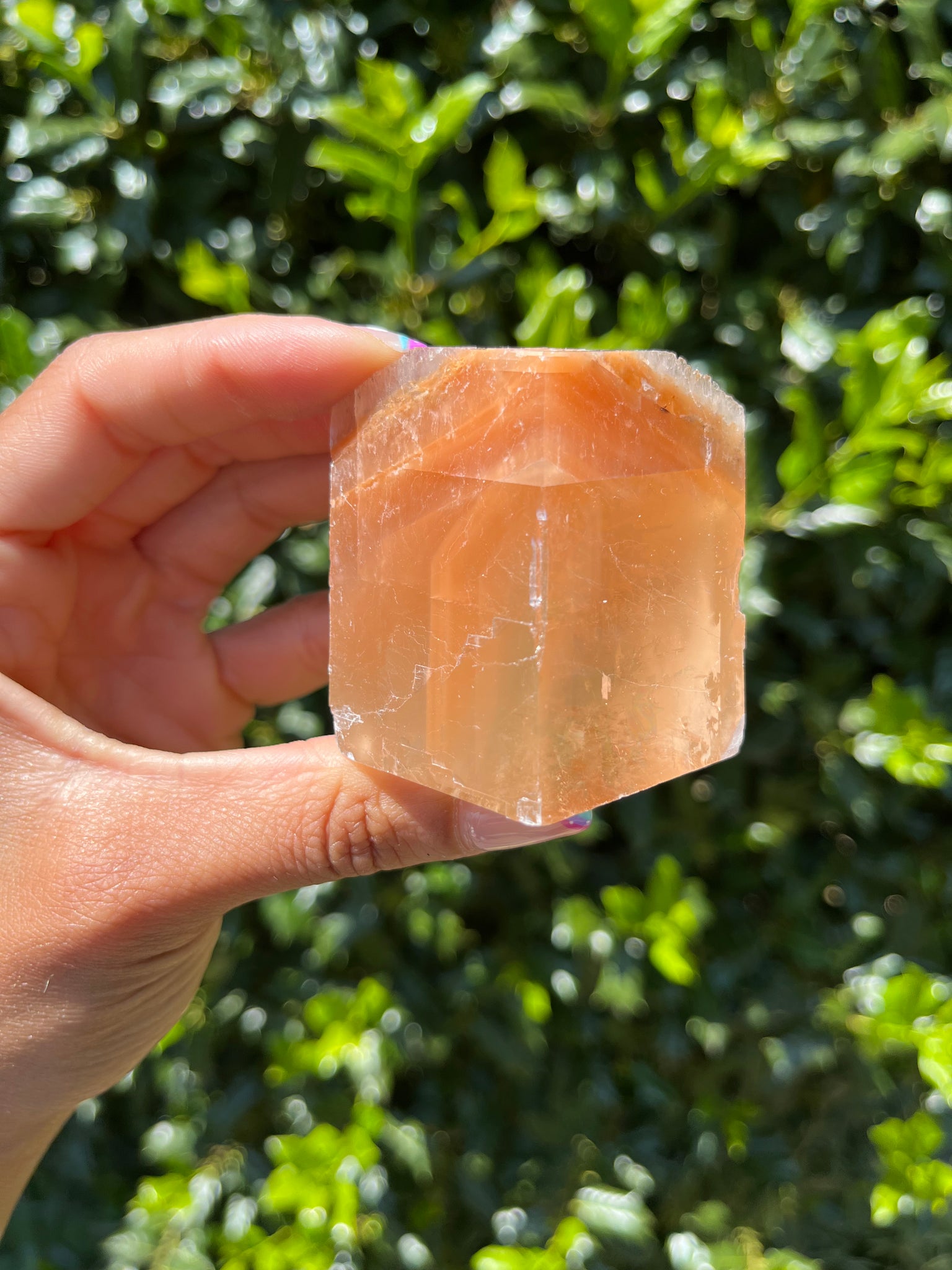 Phantom Calcite