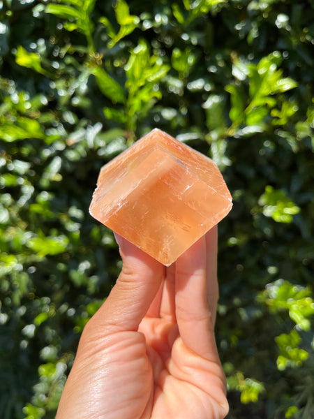 Phantom Calcite