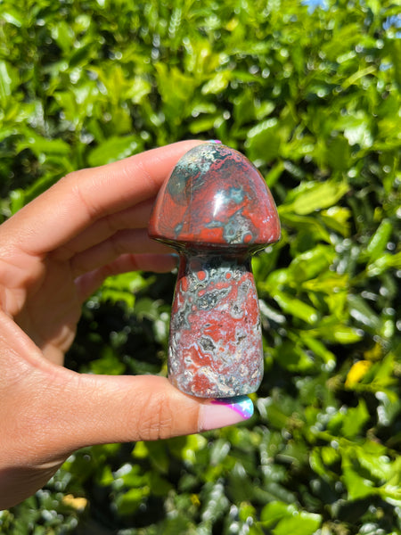 Jasper Mushroom