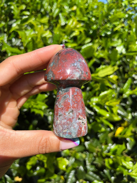 Jasper Mushroom