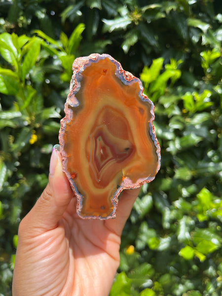 Condor Agate