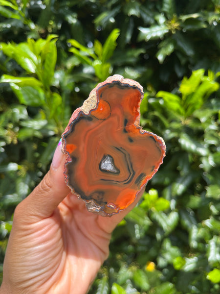 Condor Agate