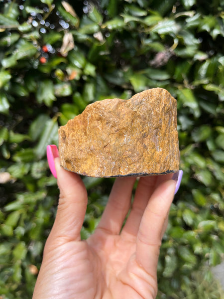 Green Petrified Wood