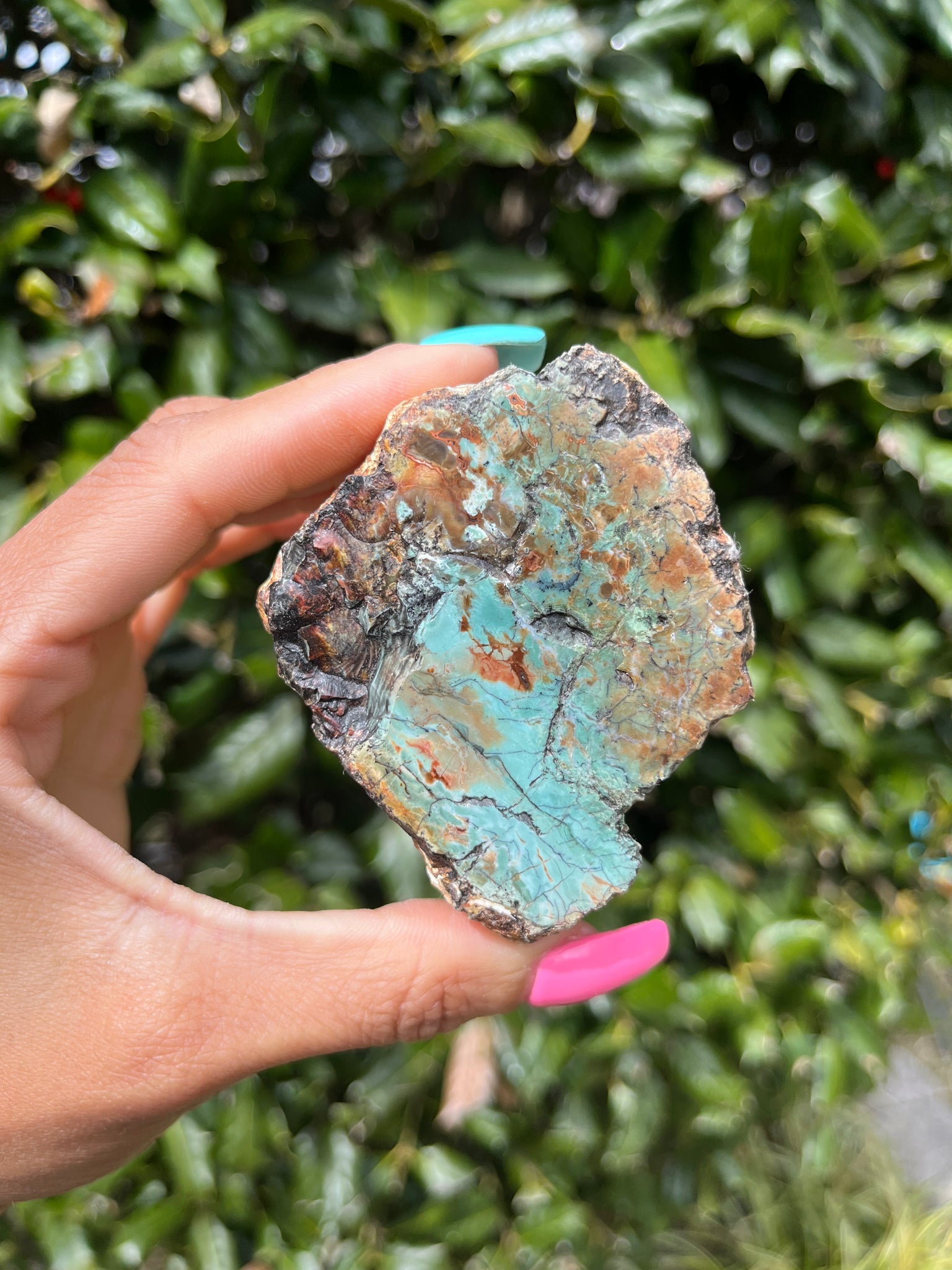 Green Petrified Wood
