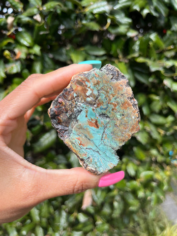 Green Petrified Wood
