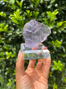 Purple Fluorite