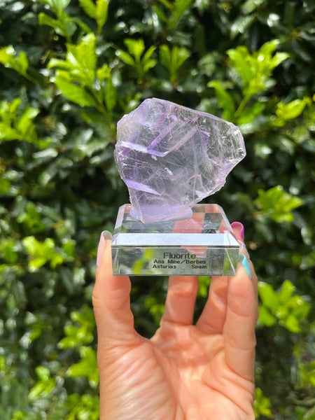 Purple Fluorite