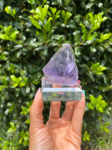 Purple Fluorite