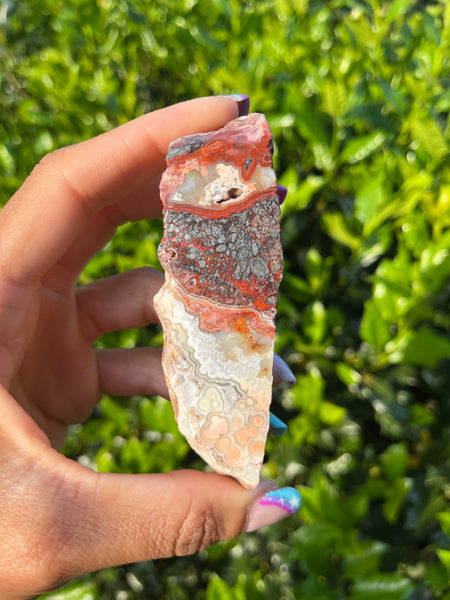 Crazy Lace Agate