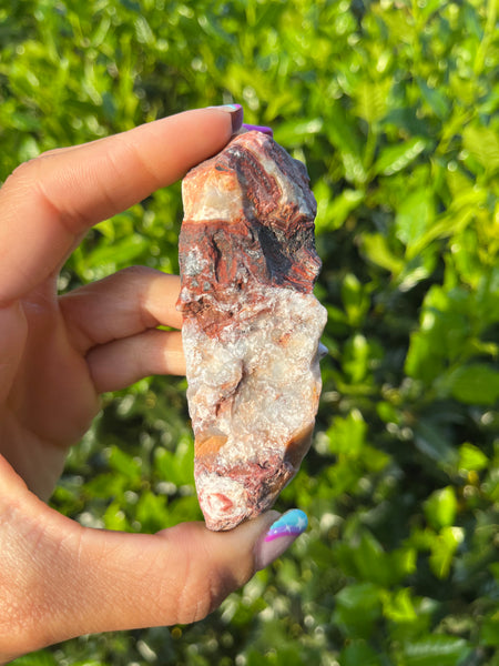 Crazy Lace Agate