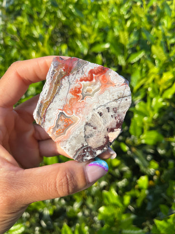 Crazy Lace Agate