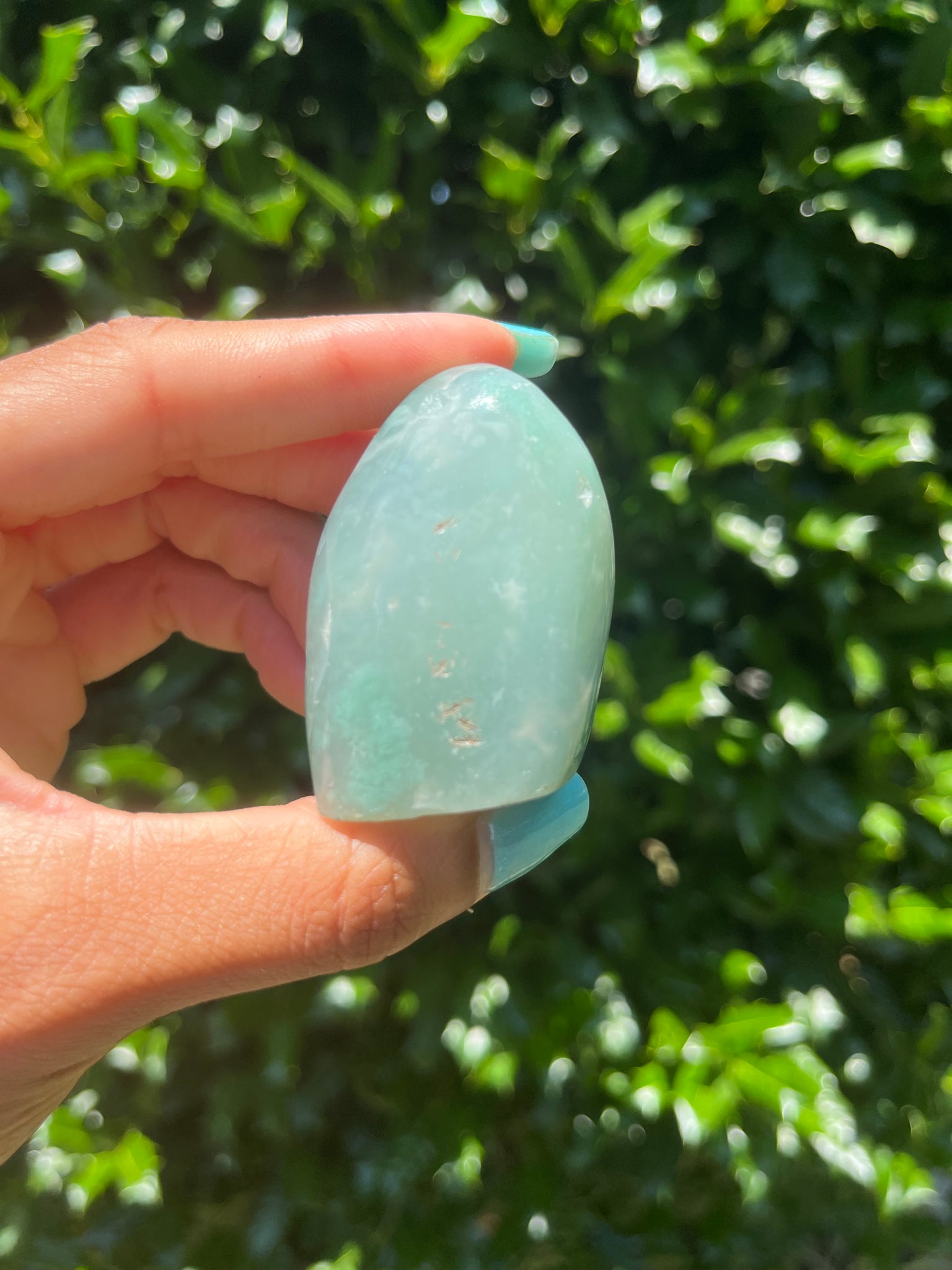 Green Chalcedony Freeform