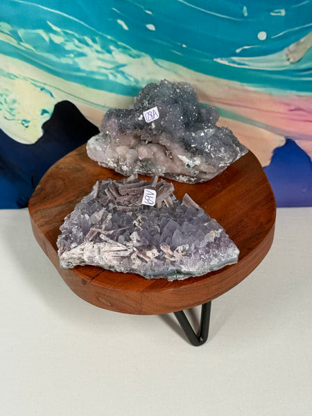 JESSIT Live Sale