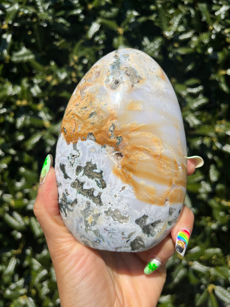 Sea Jasper Freeform