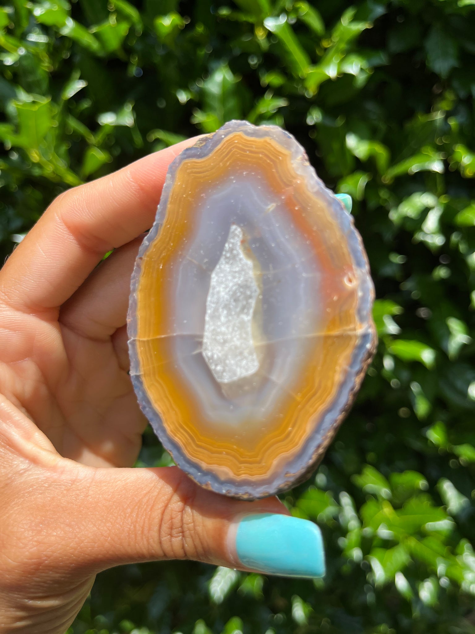 Laguna Agate