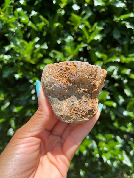 Laguna Agate