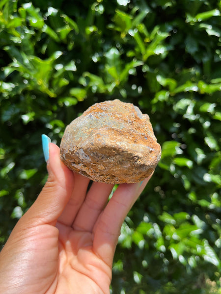 Laguna Agate