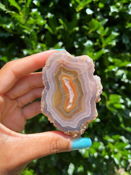 Laguna Agate