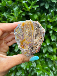 Coyamito Agate