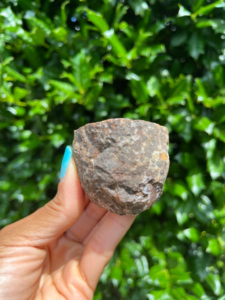 Coyamito Agate