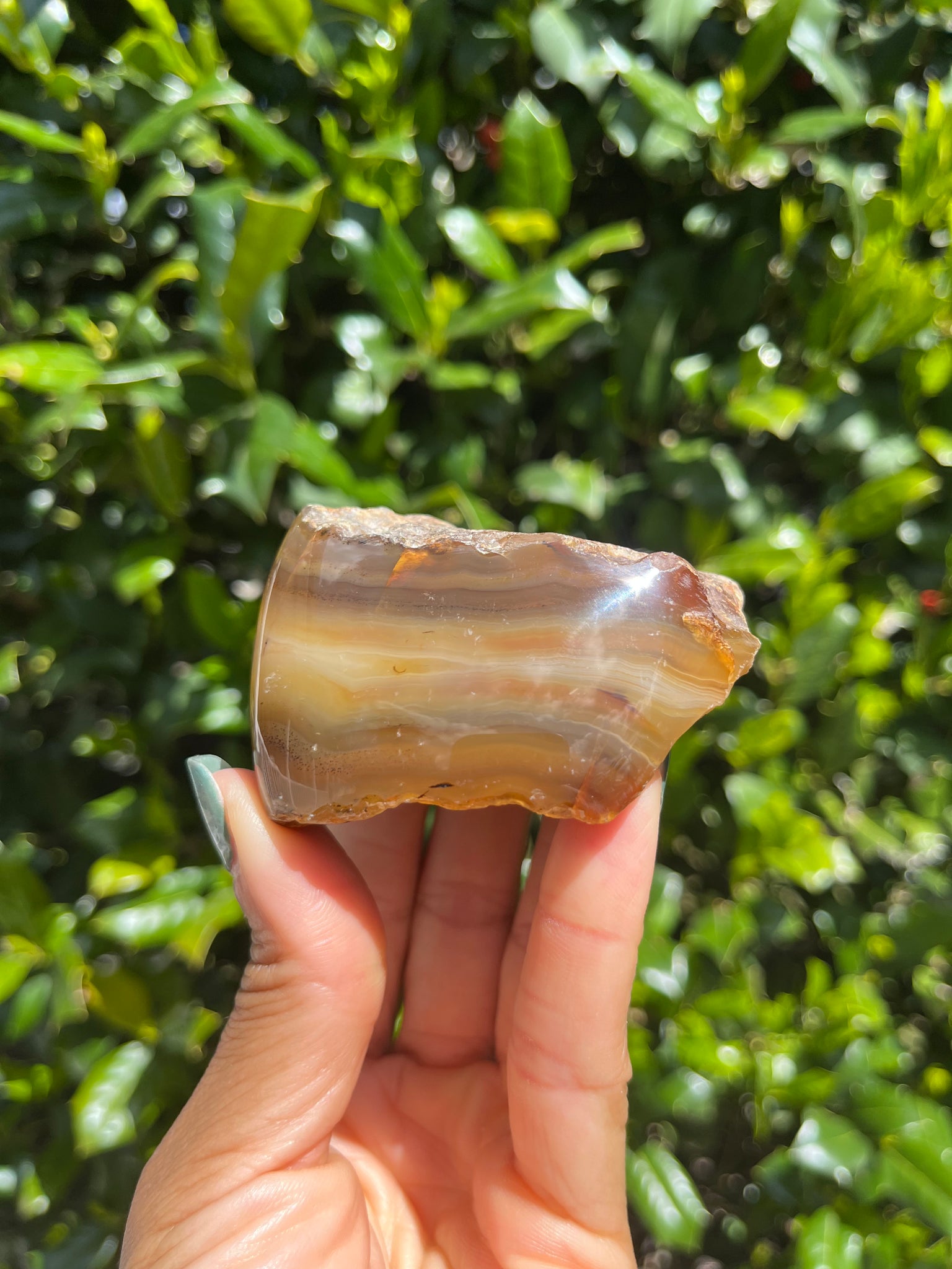 Zimbabwe Agate